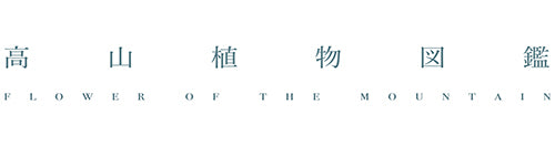 高山植物図鑑