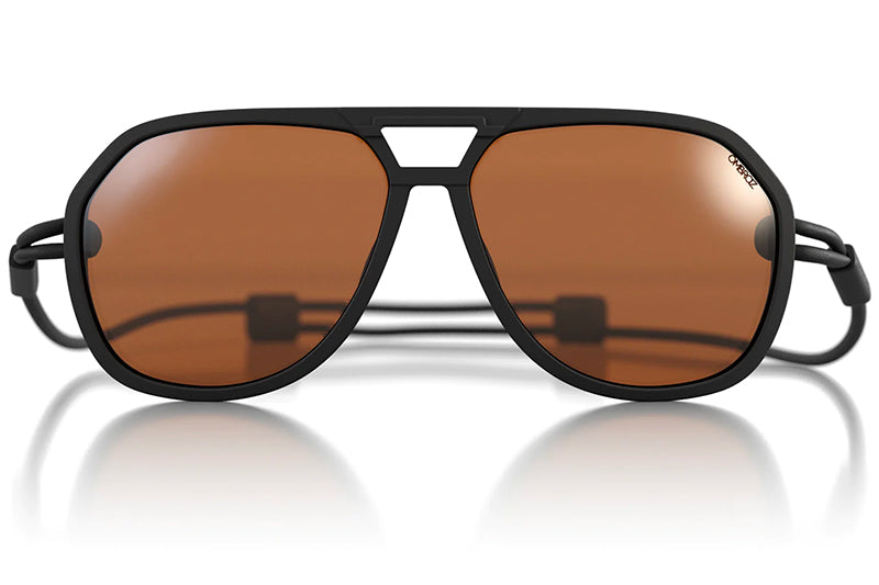 Charcoal/Polarized Brown