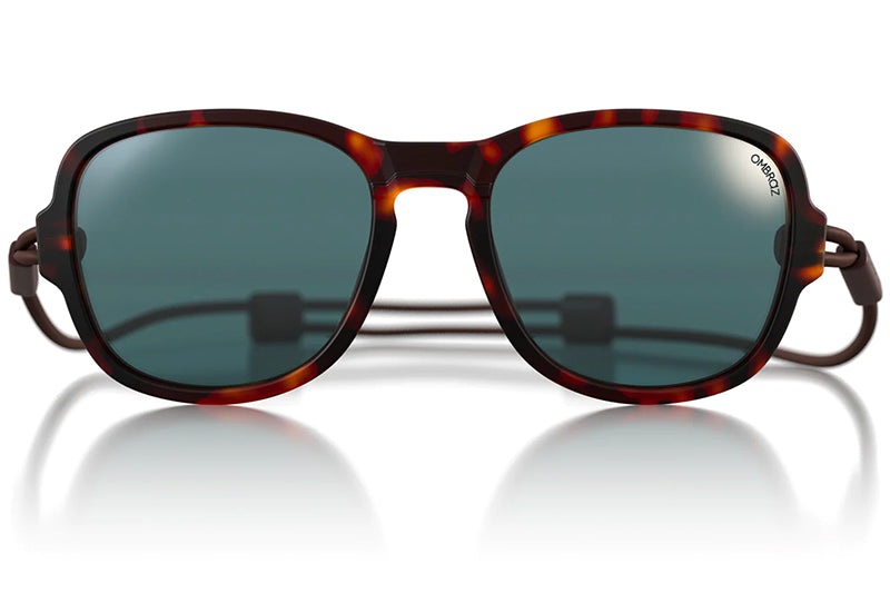 Tortoise/Polarized Grey