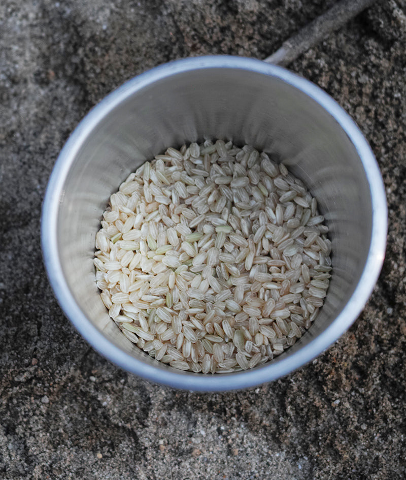grow rice project / シガルナローリ®︎