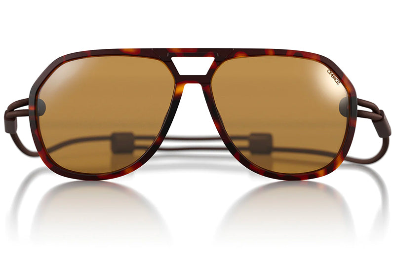 Tortoise/Polarized Yellow