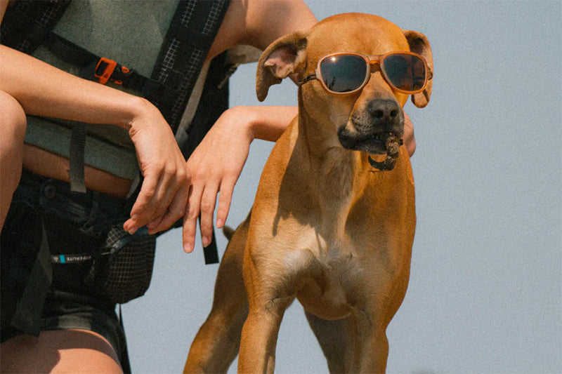 OMBRAZ TETON Armless Sunglasses / オンブラズ ティートン アームレスサングラス