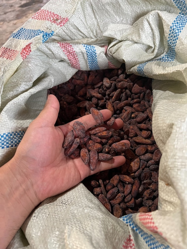 grow rice project / 黒米のクラフトコーラ