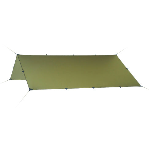 Crocodile Green