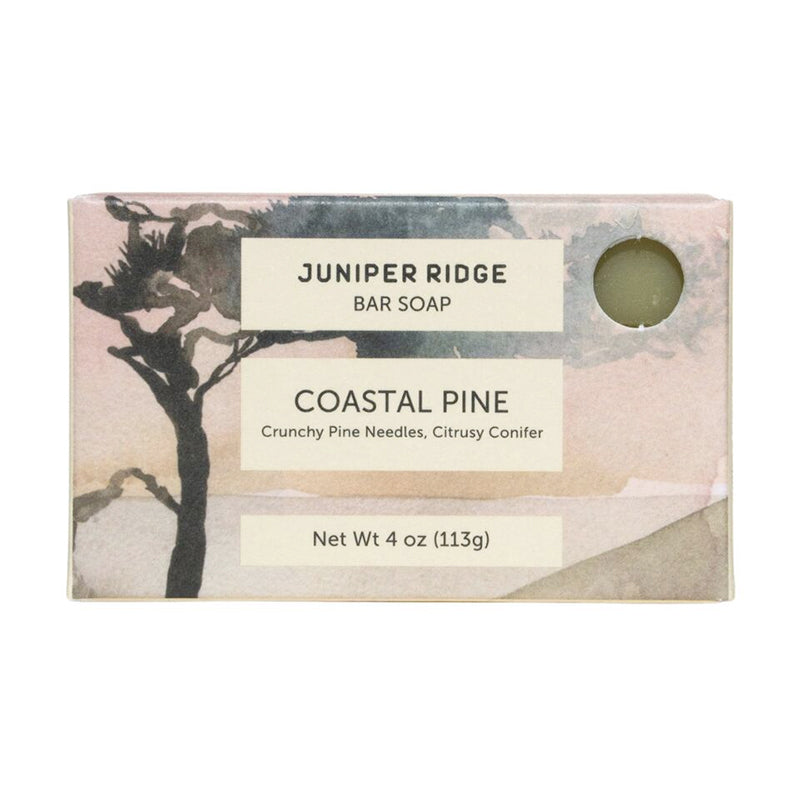 Coastal Pine