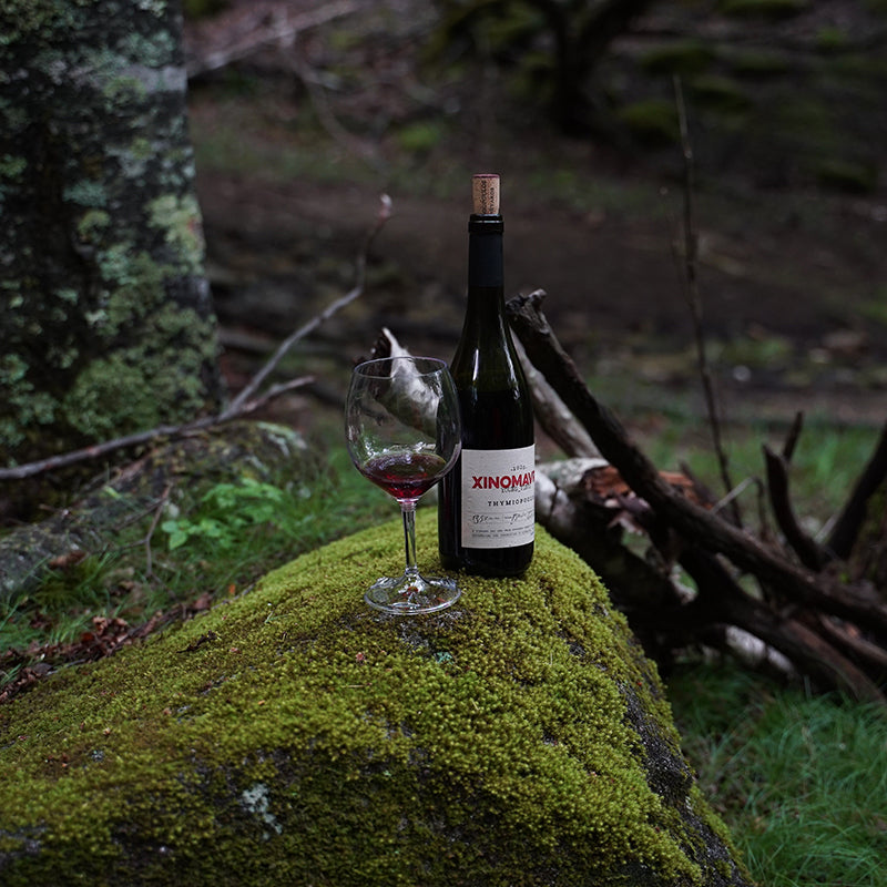 GSI OUTDOORS Nesting Wine Glass Set / ジーエスアイ ネスティングワイングラス 2個セット