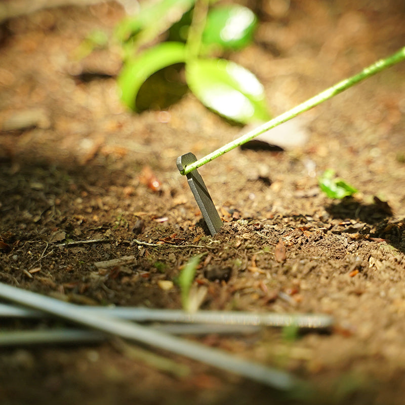 SULUK 46 / Atani Titanium Tent Stakes